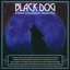 Black Dog: A Tribute to Led Zeppelin's Greatest Hits