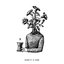 Weirdo - Single