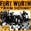 Fort Worth Teen Scene!, Vol. 2