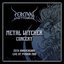 Metal Witcher Concert