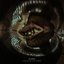 Old Wounds - Single