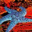 Starfish - EP