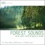 Forest Sounds with Soft Rains & Gentle Winds: Nature Sounds for Deep Sleep, Meditation & Relaxation