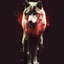Avatar de Mary_Free