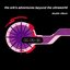 The Orb's Adventures Beyond The Ultraworld [Disc 1]