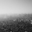 Tokyo Is Dying - Single