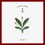 세가지 소원 Wish Tree - WINTER GARDEN