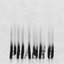 Phase 6 - Single