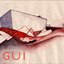 GUI