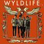 Wyldlife