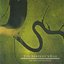 The Serpent's Egg (RTD CD 92)