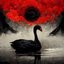 swanbird III: cygnus atratus