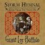 Storm Hymnal: Gems From the Vault of Grant Lee Buffalo (disc 2)
