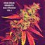 Bud Strains, Vol. 1 (LP)