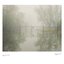 Irrational Overcast