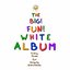 The Big Fun White Album