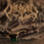 Avatar di Psychotoxical