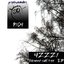 Hirnentsafter EP