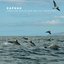 Sea and Sky Creatures - Single