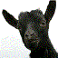 Avatar di BlackcharlieMuz