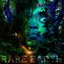 RARE EARTH