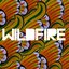 Wildfire - Single