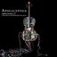 Amplified // A Decade Of Reinventing The Cello (disc 1)