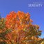 Serenity - Single