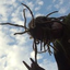 Awatar dla The_Jester_Head