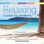 Relaxing Guided Visualisations