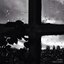 Grey Dayz