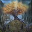 Leaves of Gold - Single