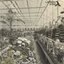 Waglands 1921