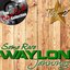 Some Rare Waylon Vol. 2 - [The Dave Cash Collection]