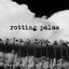 Rotting palms