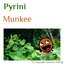Munkee