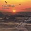 A Perfect Day