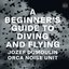 A Beginner's Guide to Diving and Flying