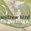 Andrew Bird - Fingerlings album artwork