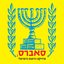 Sabres the Israeli Dance Project, Vol. 2