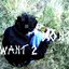 Dontwant 2 - Single