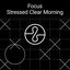 Focus: Stressed Clear Morning