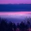 Stillness Above