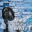 What Dey Want 2 - Single