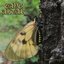 Impermanence - Single
