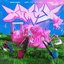 theonlytimehefeelsfine - Single