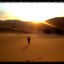 Desolation - Single