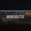 Moon Boletus