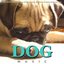 Dog Music: Relaxing Piano Music for Dogs and Pets