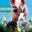 La vie sauvage des animaux domestiques (Bande originale du film)